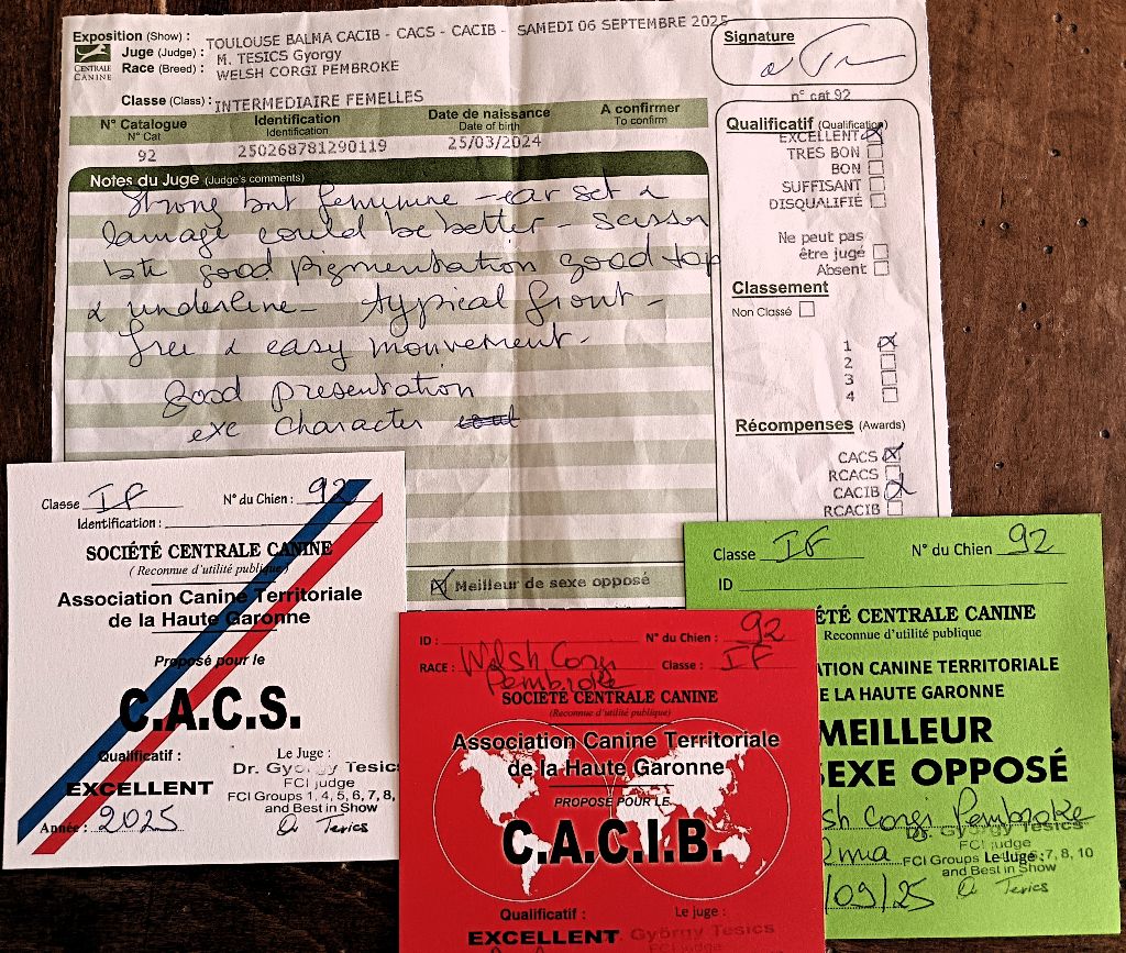 CACIB Toulouse Balma