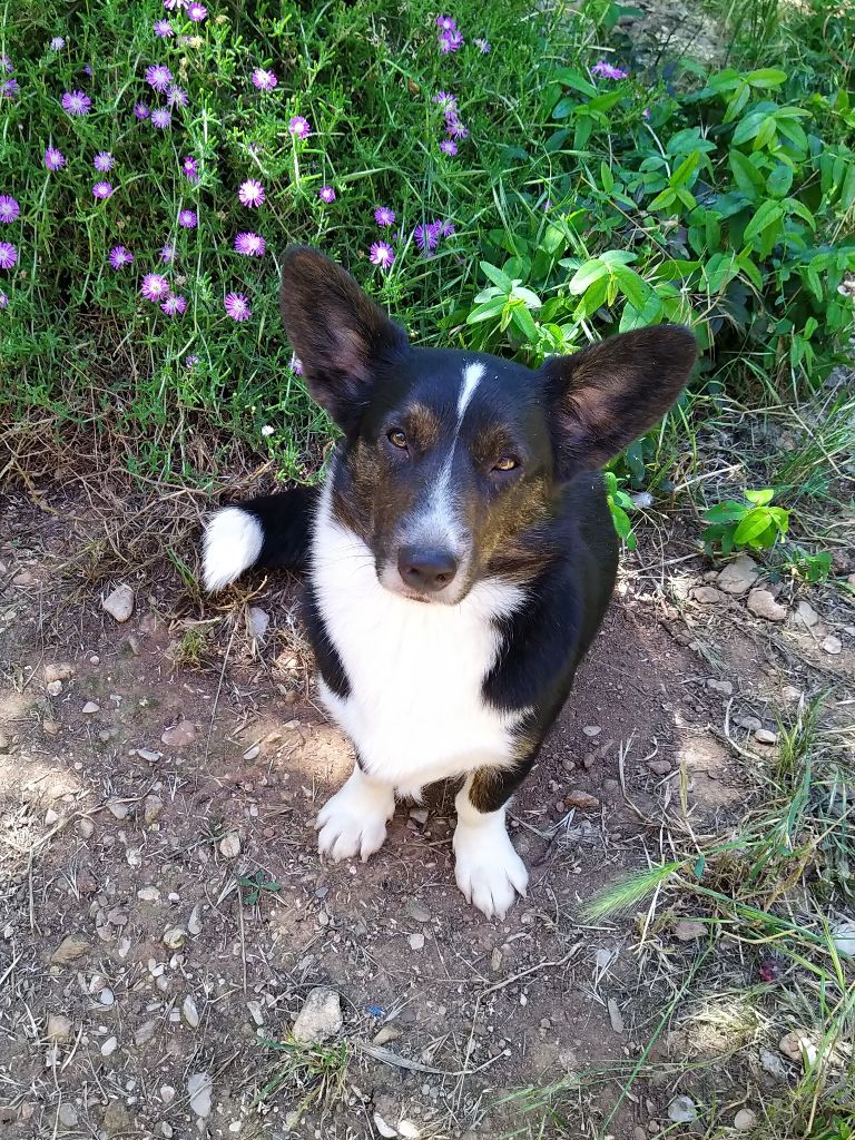 Jeune retraitée à adopter